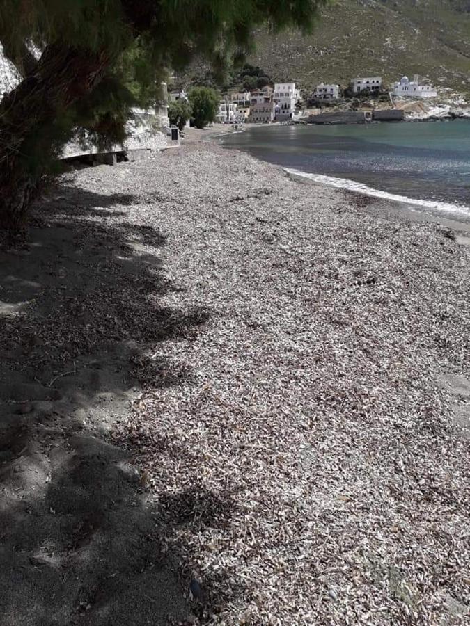Kalymnos Beach House Panormos  Екстер'єр фото